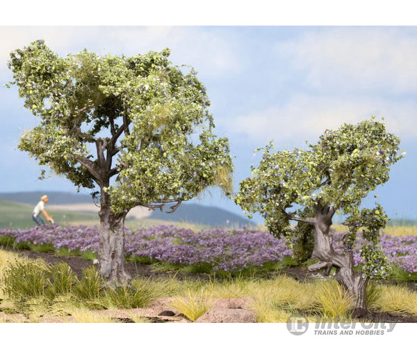 Noch 21995 HO TT Olive Trees Trees & Vegetation