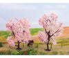 Noch 21996 HO TT N Almond Trees Trees & Vegetation