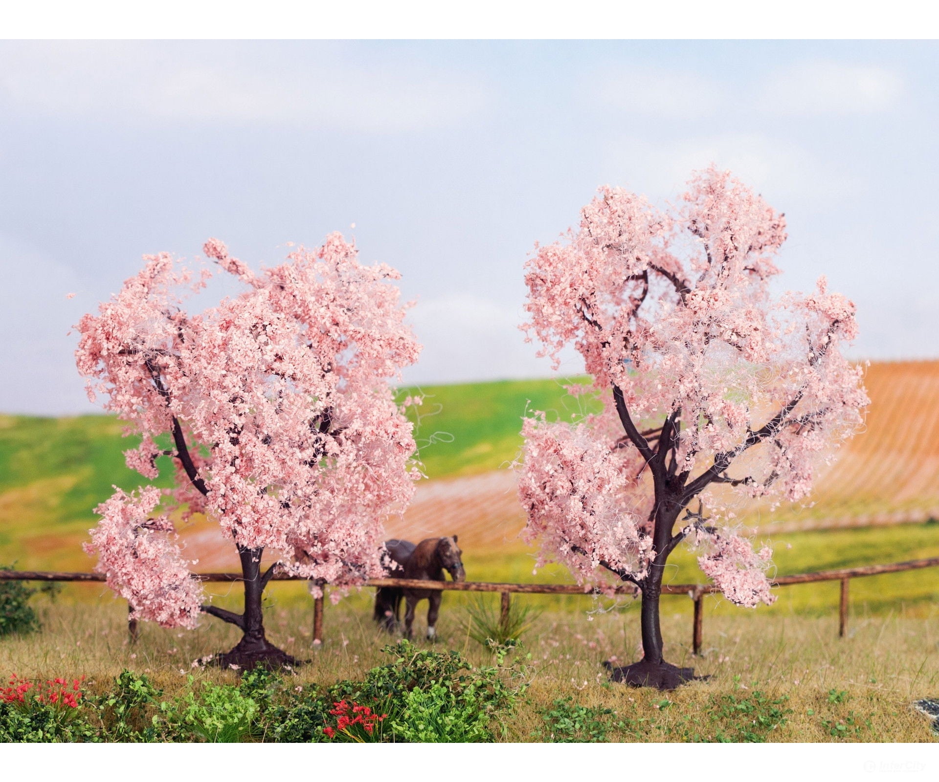 Noch 21996 HO TT N Almond Trees Trees & Vegetation