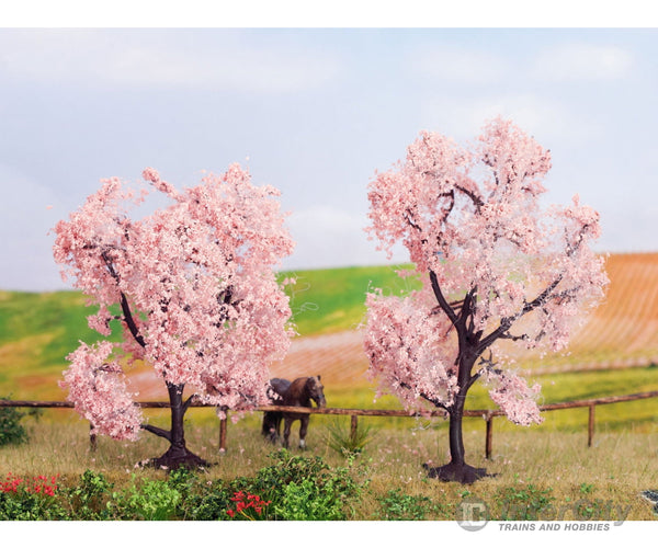 Noch 21996 HO TT N Almond Trees Trees & Vegetation