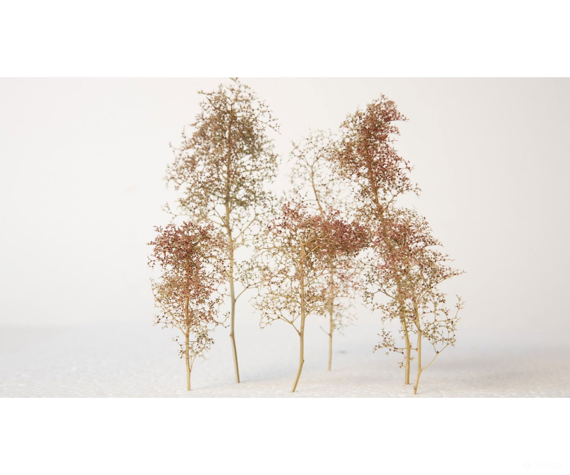 Noch 23102 Embankment Vegetation Trees & Vegetation