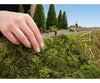 Noch 23102 Embankment Vegetation Trees & Vegetation