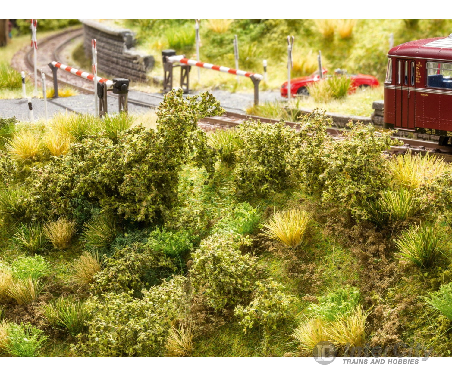 Noch 23102 Embankment Vegetation Trees & Vegetation