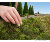 Noch 23102 Embankment Vegetation Trees & Vegetation