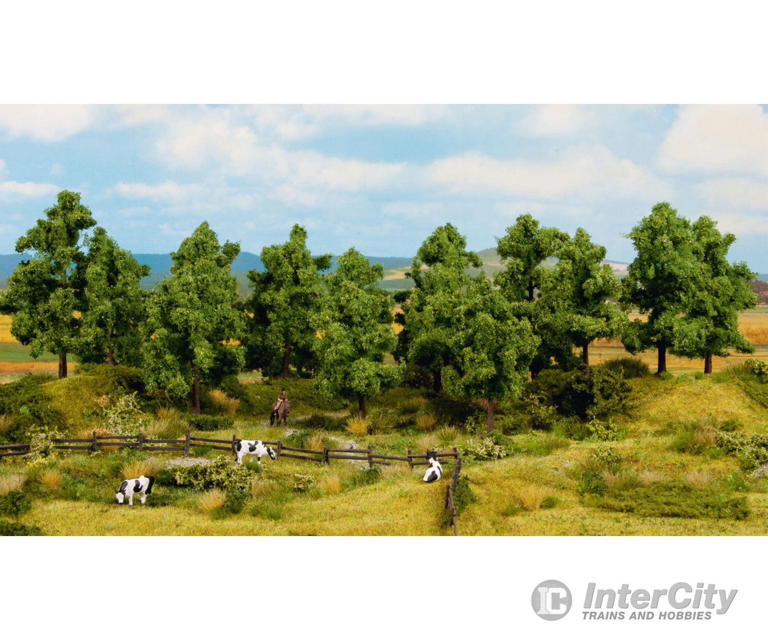 Noch 24603 HO TT N Z Deciduous Trees Trees & Vegetation
