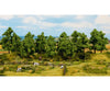 Noch 24603 HO TT N Z Deciduous Trees Trees & Vegetation
