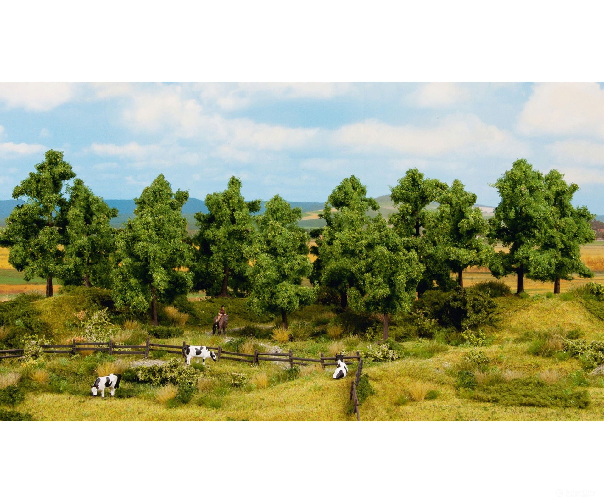 Noch 24603 HO TT N Z Deciduous Trees Trees & Vegetation