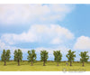 Noch 25088 HO TT N Z Deciduous Trees Trees & Vegetation