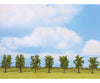 Noch 25088 HO TT N Z Deciduous Trees Trees & Vegetation
