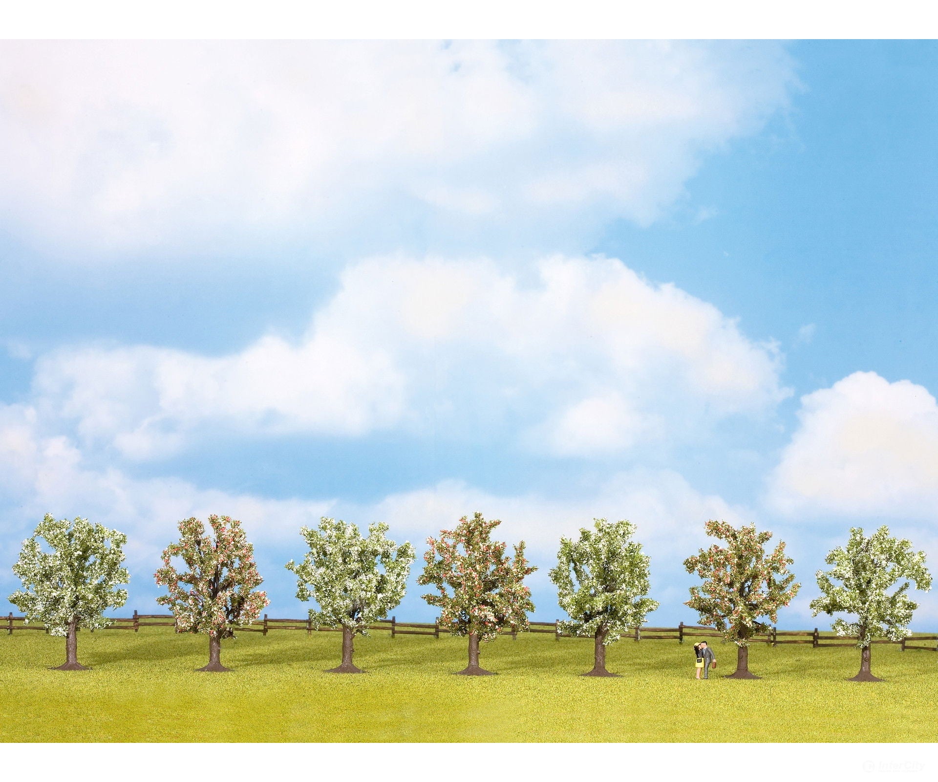 Noch 25092 HO TT N Z Fruit Trees Trees & Vegetation
