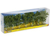 Noch 25096 HO TT N Z Birch Trees Trees & Vegetation