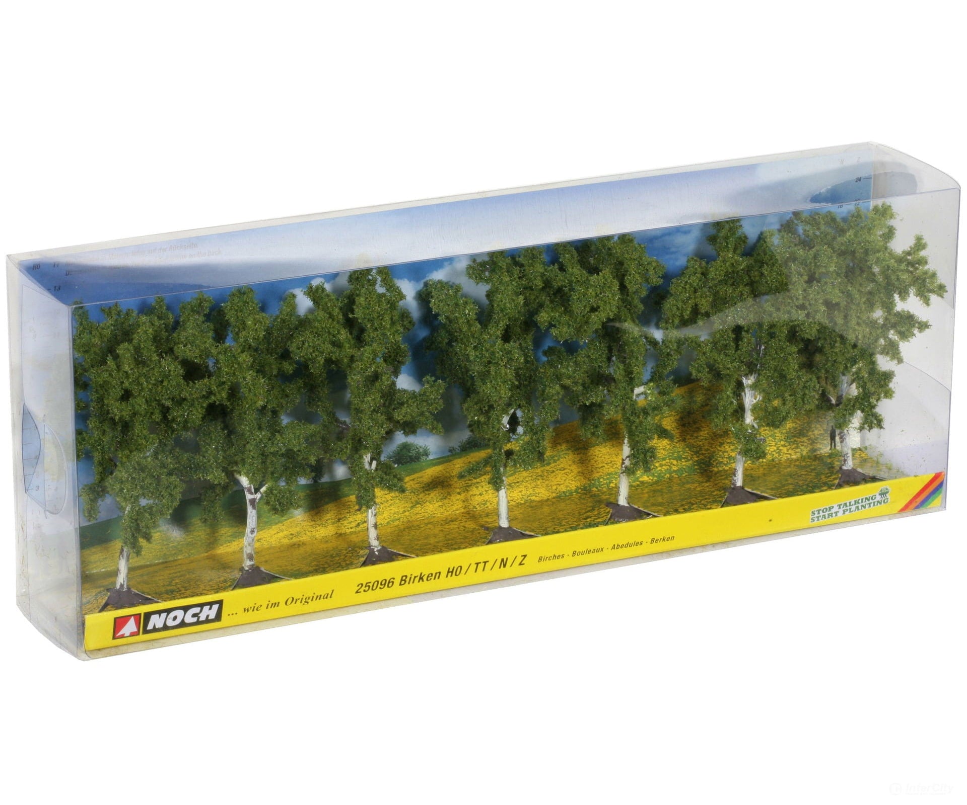 Noch 25096 HO TT N Z Birch Trees Trees & Vegetation