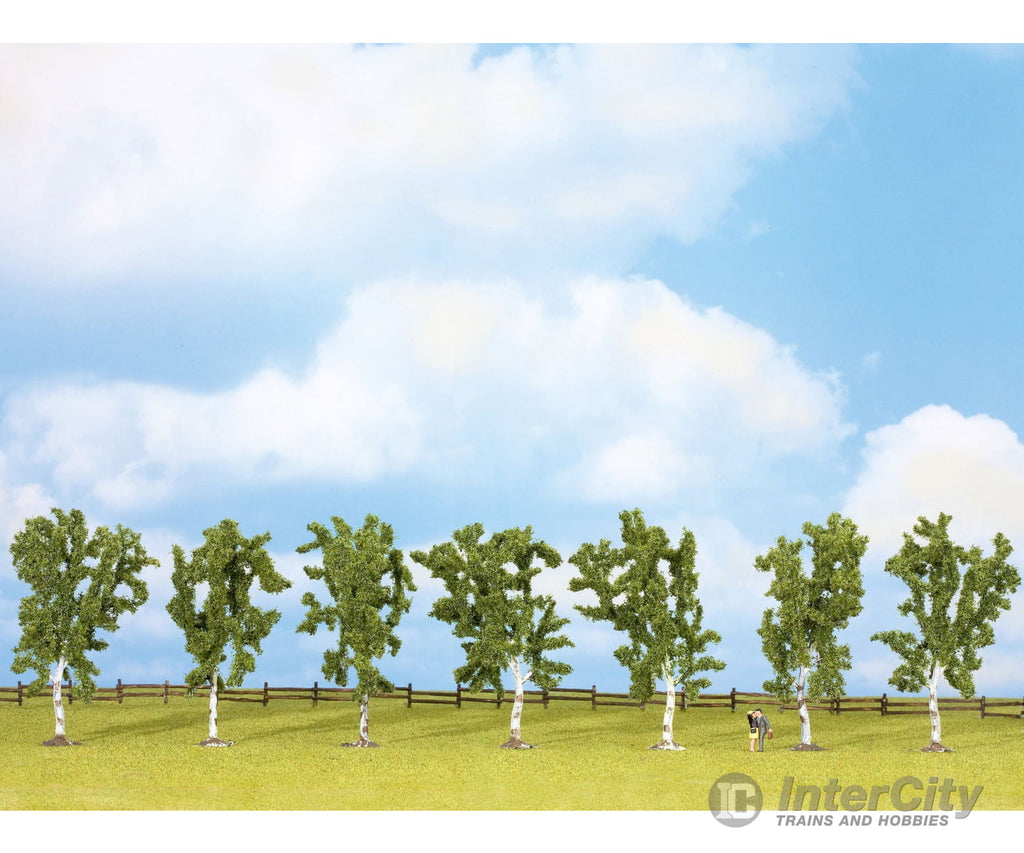 Noch 25096 HO TT N Z Birch Trees Trees & Vegetation