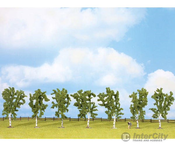 Noch 25096 HO TT N Z Birch Trees Trees & Vegetation