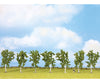 Noch 25096 HO TT N Z Birch Trees Trees & Vegetation