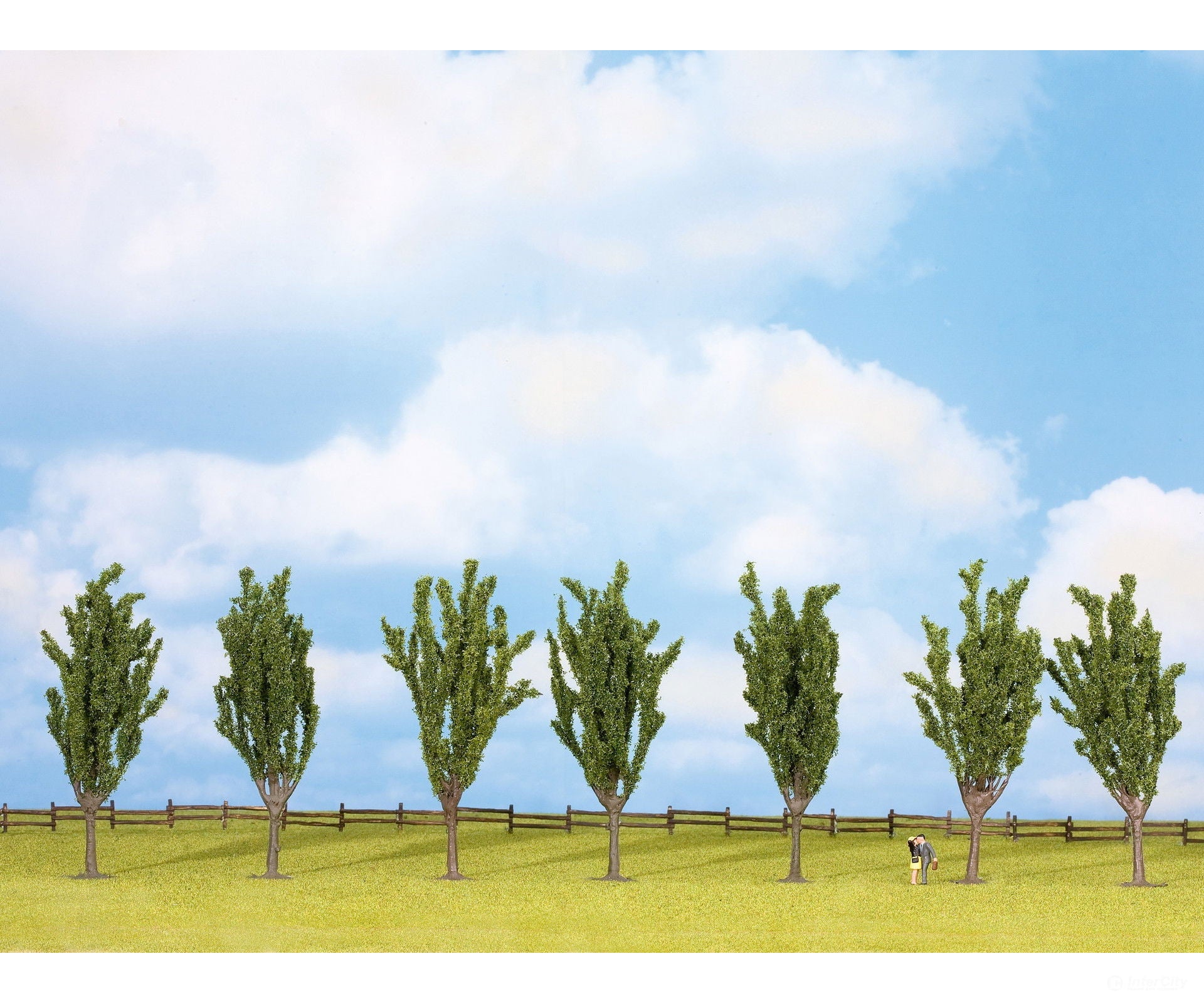 Noch 25098 HO TT N Z Poplar Trees Trees & Vegetation