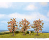 Noch 25112 HO TT Fruit Trees Trees & Vegetation