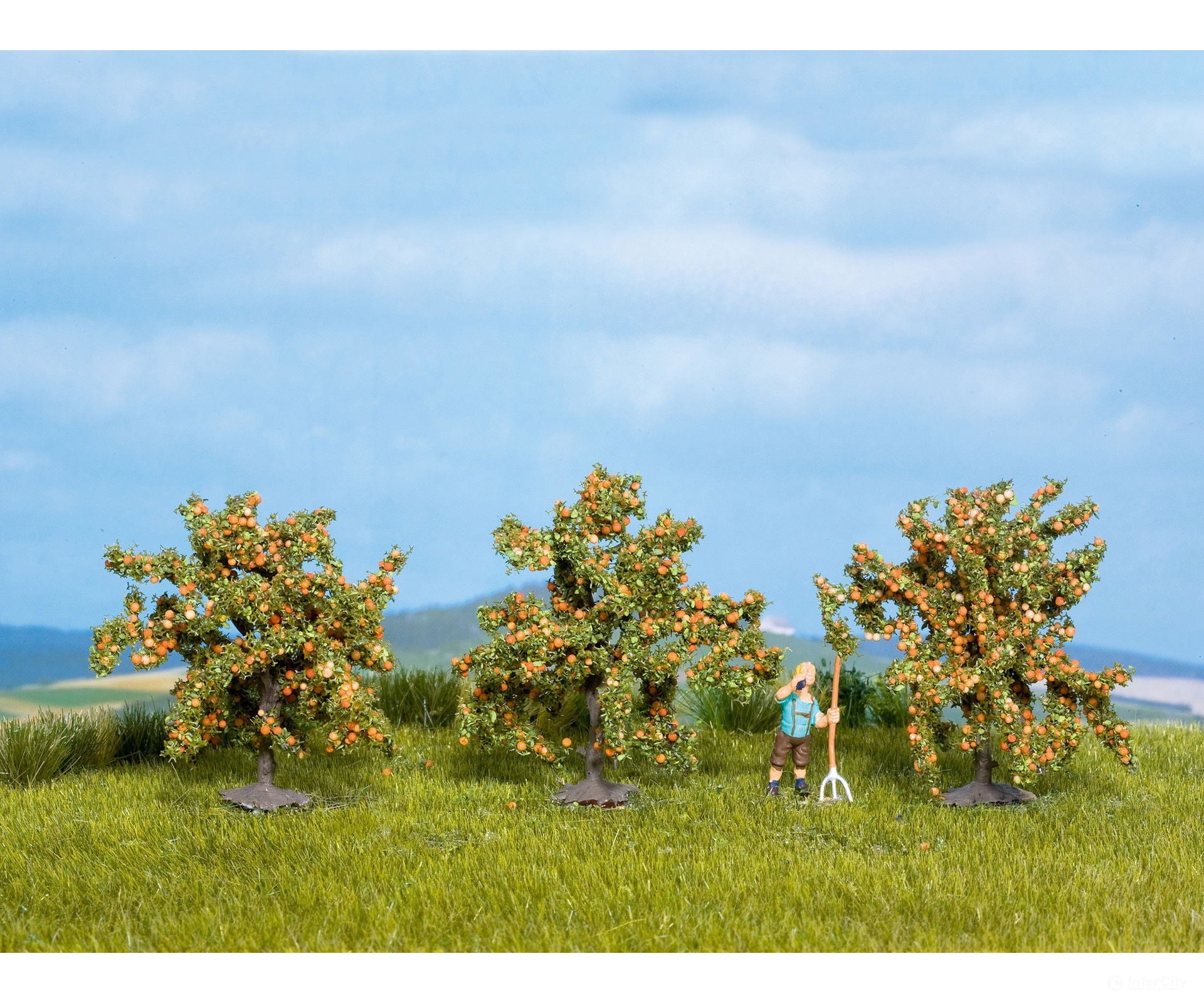 Noch 25114 HO TT N Orange Trees Trees & Vegetation