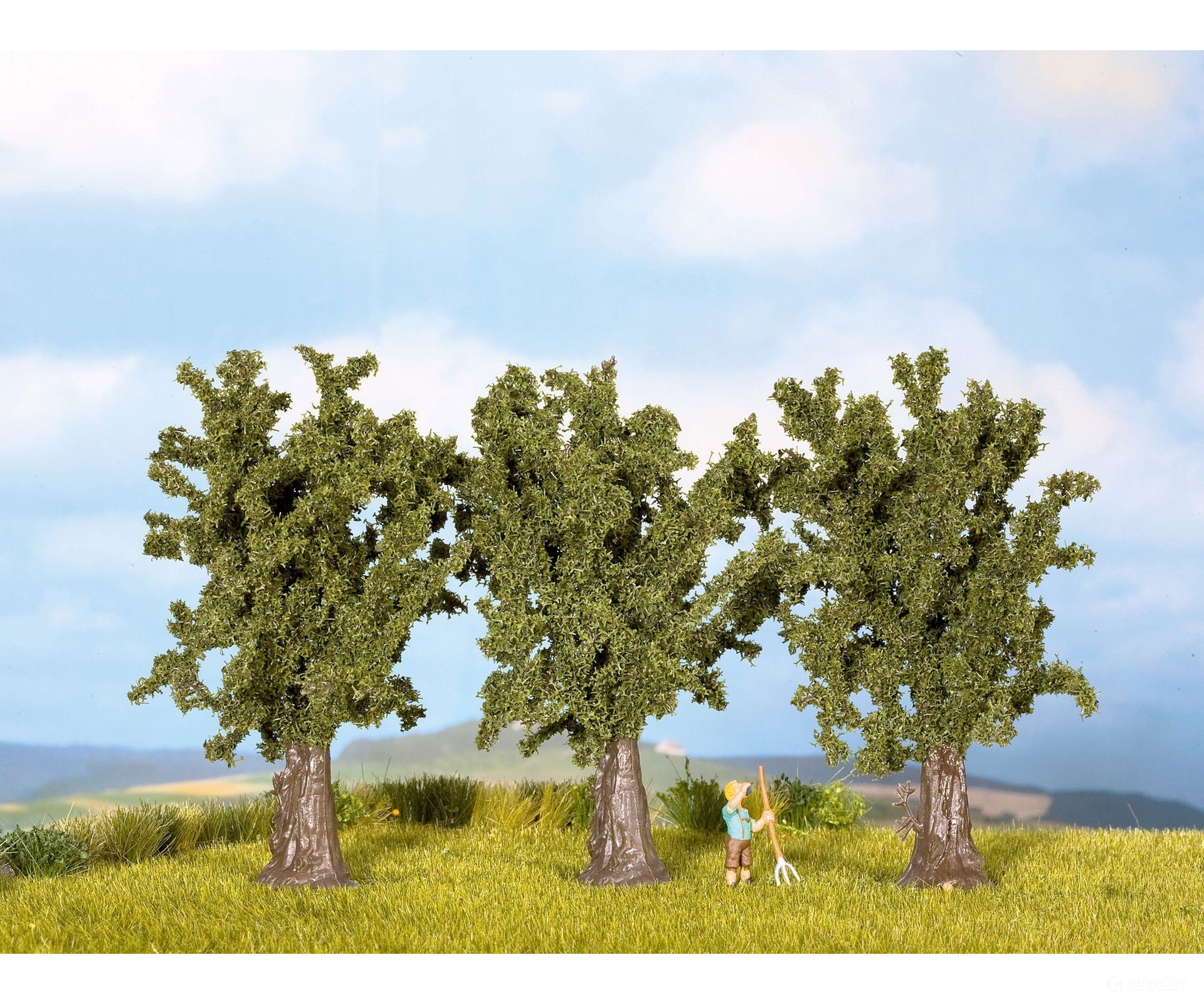 Noch 25150 HO TT Sycamore Trees Trees & Vegetation