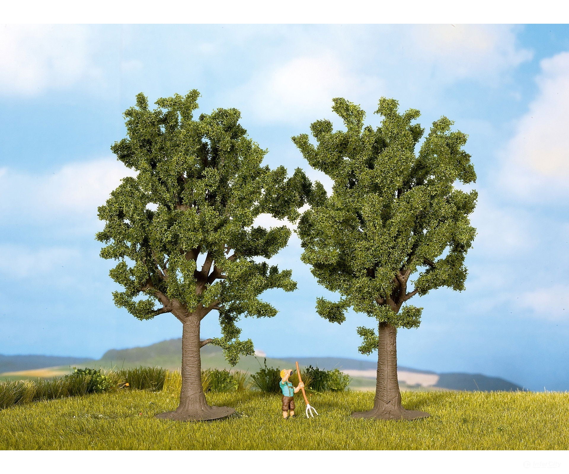 Noch 25170 HO TT Beech Trees Trees & Vegetation
