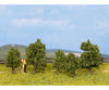 Noch 25410 HO TT Bushe Trees & Vegetation