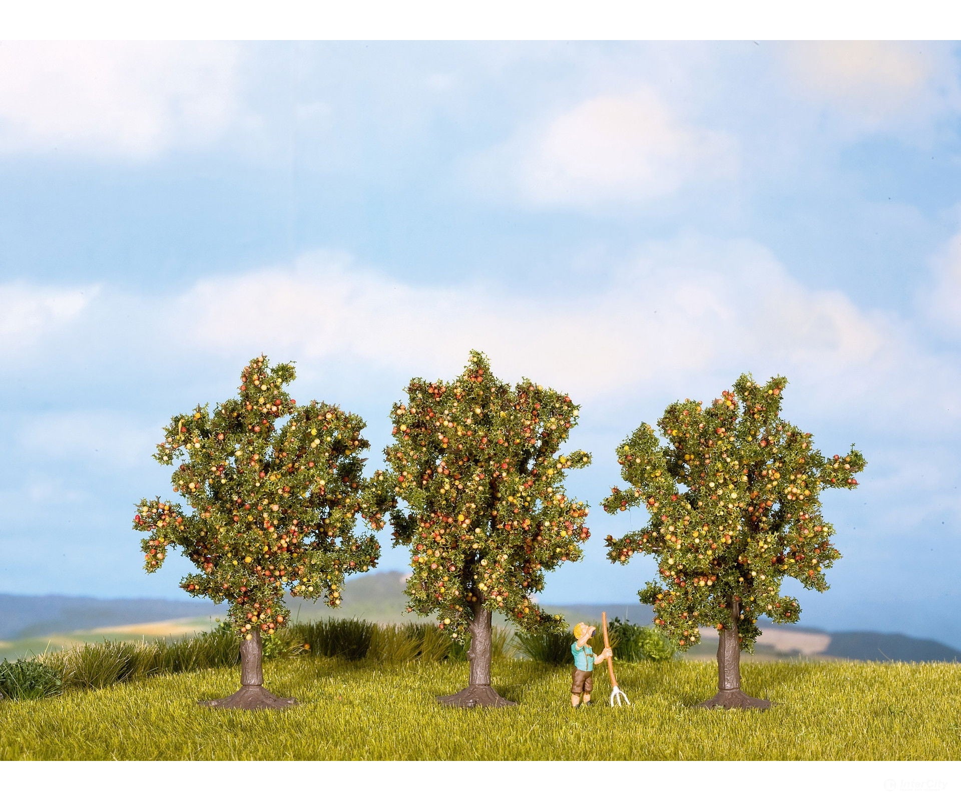 Noch 25513 N Z Apple Trees Trees & Vegetation