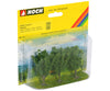 Noch 25525 N Z Poplar Trees Trees & Vegetation
