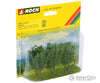 Noch 25525 N Z Poplar Trees Trees & Vegetation