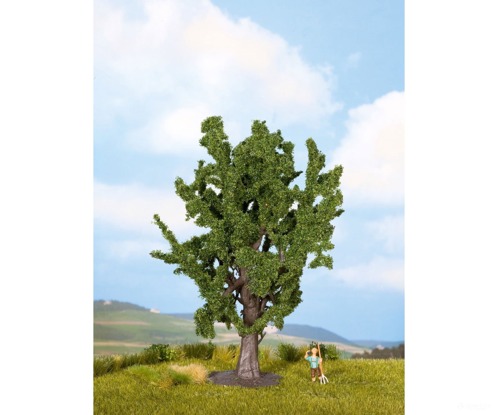 Noch 25860 HO TT N O Oak Tree Trees & Vegetation