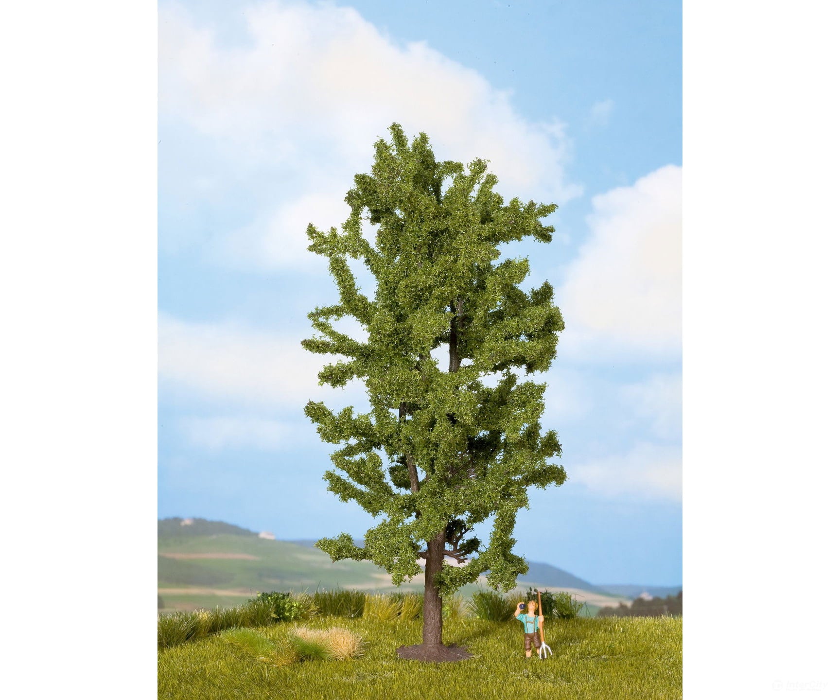 Noch 25880 HO TT N O Lime Tree Trees & Vegetation