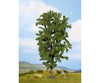 Noch 25895 HO TT N O horse Chestnut Tree Trees & Vegetation