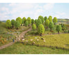Noch 26901 HO TT Deciduous Trees Trees & Vegetation