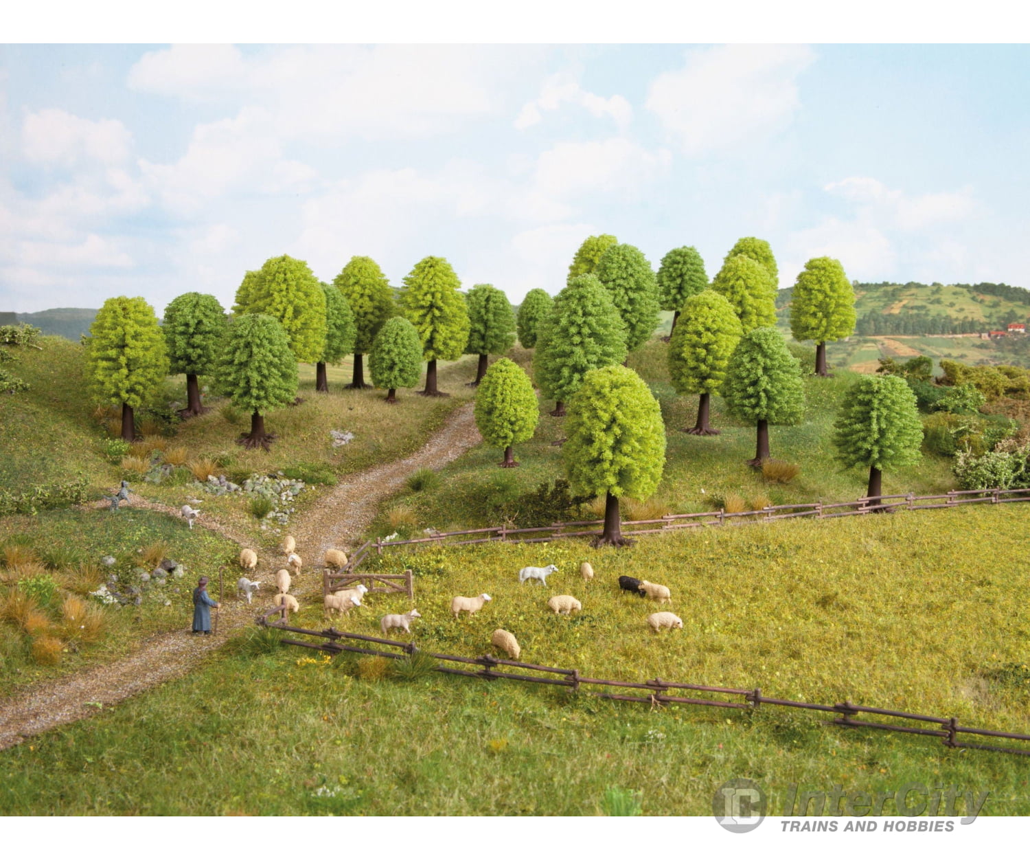 Noch 32801 N Z Deciduous Trees Trees & Vegetation