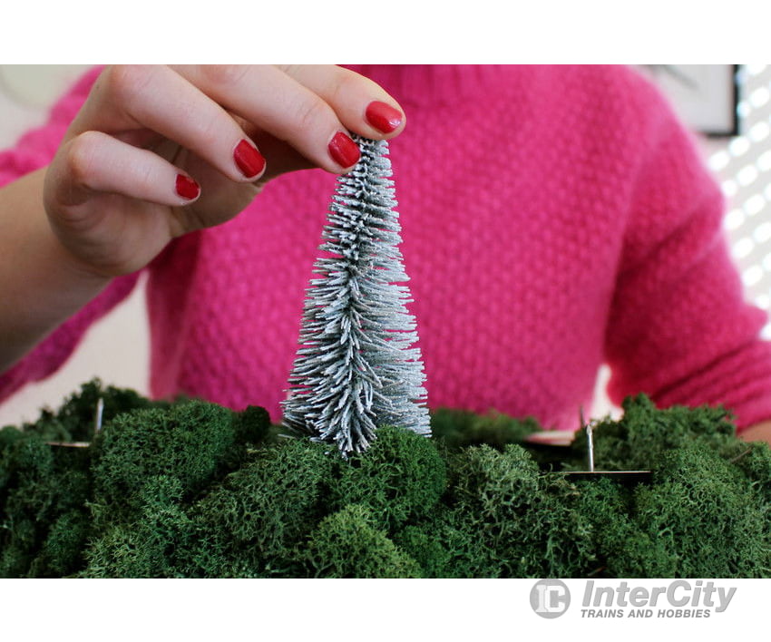 Noch 32828 N Z Snowy Fir Trees Trees & Vegetation