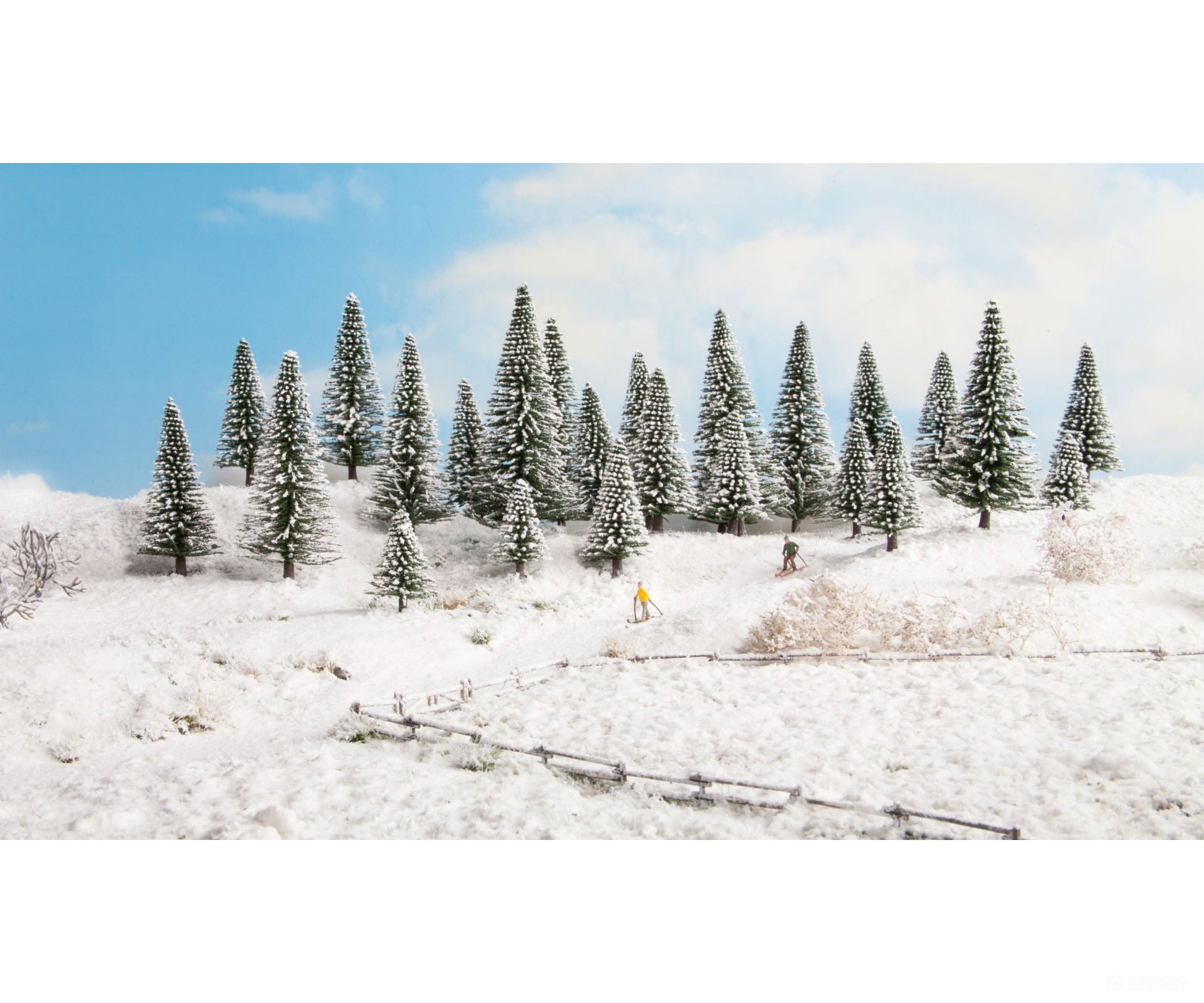 Noch 32828 N Z Snowy Fir Trees Trees & Vegetation