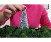Noch 32828 N Z Snowy Fir Trees Trees & Vegetation