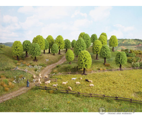 Noch 32901 N Z Deciduous Trees Trees & Vegetation