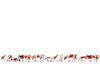 Noch 36723 N Cows Brown-White Figures