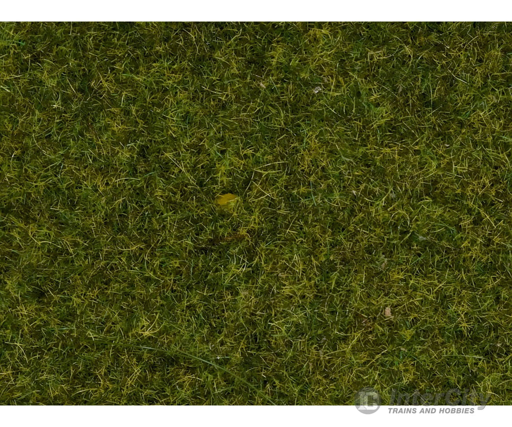 Noch 50220 HO N Z Scatter Grass ’Meadow’ Static Grass & Applicators
