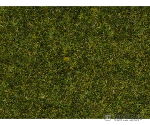 Noch 50220 HO N Z Scatter Grass ’Meadow’ Static Grass & Applicators