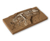 Noch 58614 HO TT N T-Rex Dinosaur Excavation Other Scenery
