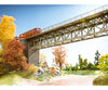 Noch 62810 N Steel Bridge Tunnels & Bridges