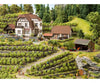 Noch 63712 N Wine Estate ’Hauser-Bühler’ Structures