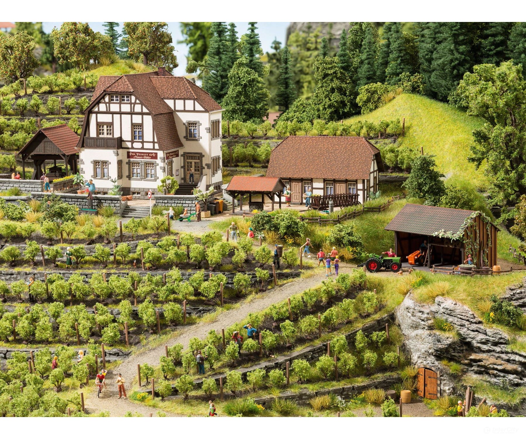 Noch 63712 N Wine Estate ’Hauser-Bühler’ Structures