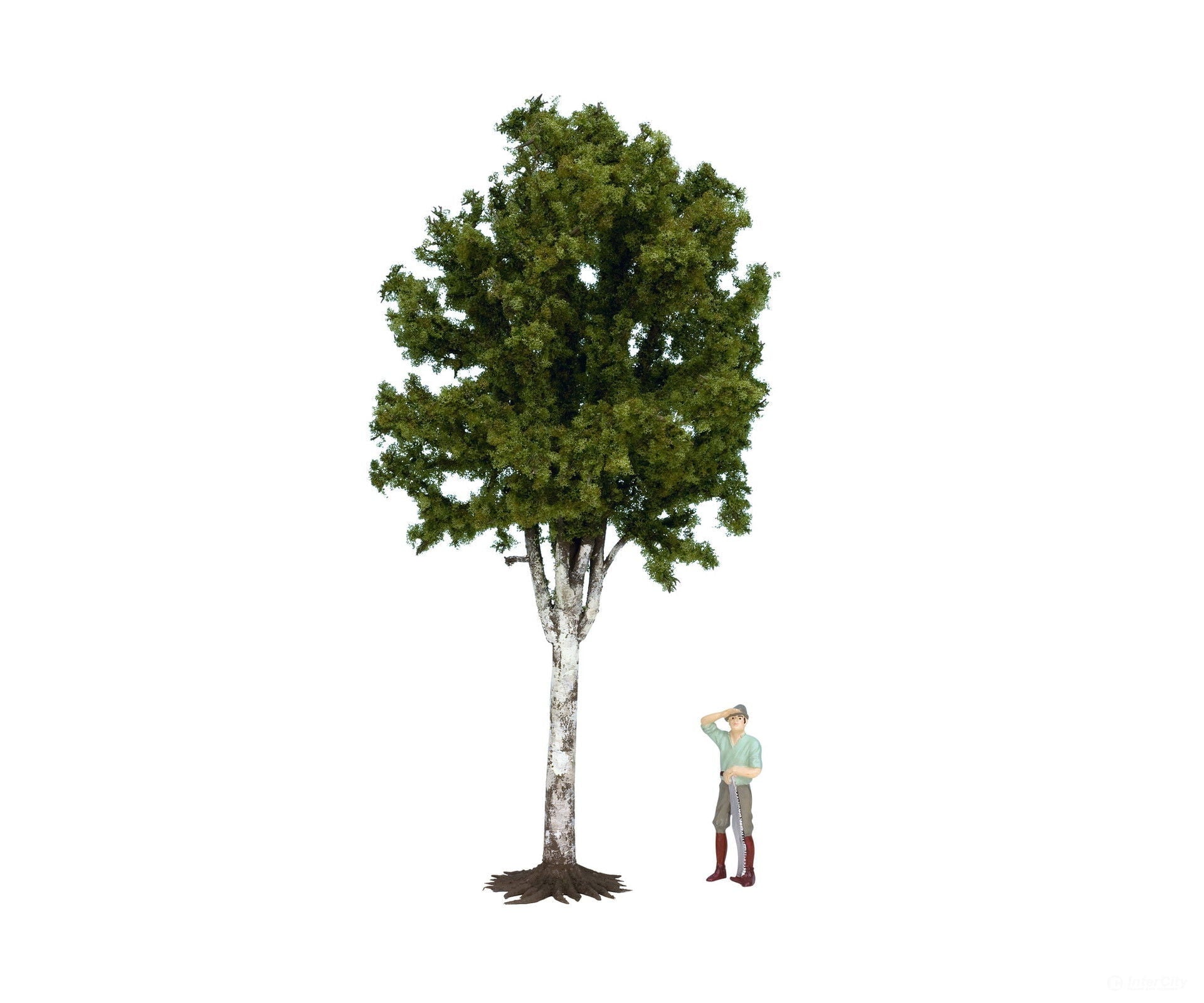Noch 68010 G Birch Tree Trees & Vegetation
