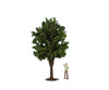 Noch 68020 O G Fruit Tree Green Trees & Vegetation