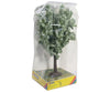Noch 68022 O G Fruit Tree Blossoming (White) Trees & Vegetation