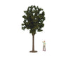 Noch 68030 G Deciduous Tree Trees & Vegetation