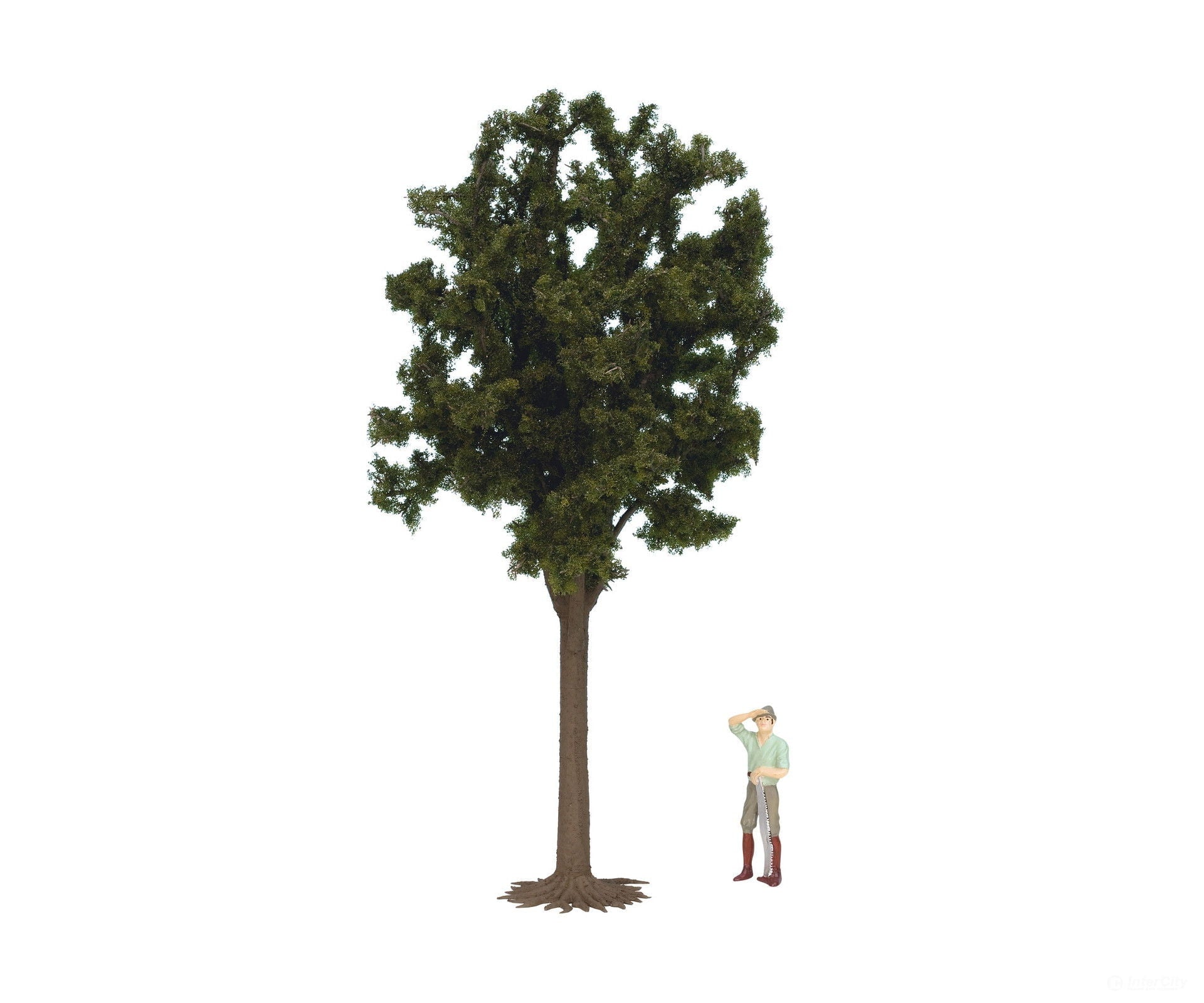 Noch 68030 G Deciduous Tree Trees & Vegetation