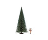 Noch 68039 G Fir Tree Trees & Vegetation